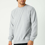 Men's Sweatshirt // Gray  (L)