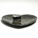 Genuine Polished Goniatite Fossil Heart Plate // Small