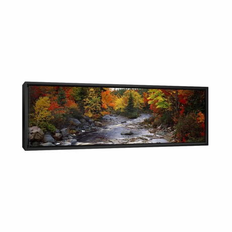 Stream with trees in a forest in autumn, Nova Scotia, Canada by Panoramic Images (12"H x 36"W x 1.5"D)