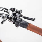 GlareWheel Electric Bike Fat Tire 750W Cruiser