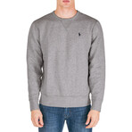 Sweatshirt // Gray (L)