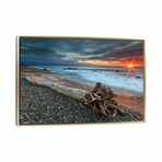 Sakonnet Driftwood by Katherine Gendreau (18"H x 26"W x 1.5"D)