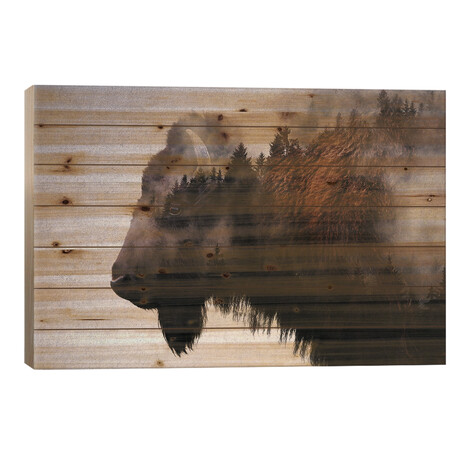 Bison by Andreas Lie (18"H x 26"W x 1.5"D)