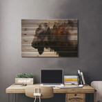 Bison by Andreas Lie (18"H x 26"W x 1.5"D)