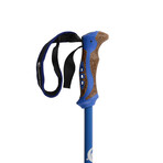 Telescopic Aluminum All Season Trekking Poles // Blue