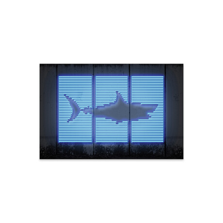 Shark Print on Acrylic Glass by Octavian Mielu (24"H x 16"W x 0.25"D)