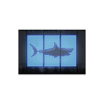 Shark Print on Acrylic Glass by Octavian Mielu (24"H x 16"W x 0.25"D)