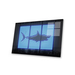 Shark Print on Acrylic Glass by Octavian Mielu (24"H x 16"W x 0.25"D)