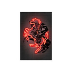 Napoleon Print on Acrylic Glass by Octavian Mielu (16"H x 24"W x 0.25"D)