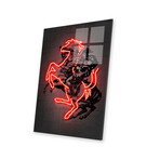 Napoleon Print on Acrylic Glass by Octavian Mielu (16"H x 24"W x 0.25"D)