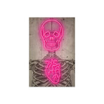 Neon Skull Diagram Print on Acrylic Glass by Ink & Drop (16"H x 24"W x 0.25"D)