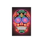 Day Of The Dead Print on Acrylic Glass by Octavian Mielu (16"H x 24"W x 0.25"D)