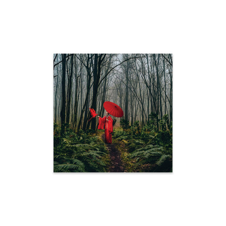 A Girl In A Red Kimono Feeds A Bird From Her Hand Print on Acrylic by Ievgeniia Bidiuk (24"H x 24"W x 0.25"D)