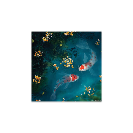 Koi Carp Fishes Print on Acrylic by Juliana Motzko (24"H x 24"W x 0.25"D)