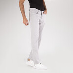 5  Pocket Trousers // Light Gray (31)