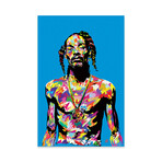 Snoop Print on Acrylic Glass by TECHNODROME1 (16"H x 24"W x 0.25"D)