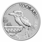1/10 oz Platinum Australian Kookaburra - Year Varies // Deluxe Collector's Pouch