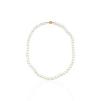 14K Yellow Gold Mother of Pearl Necklace // 15" // Pre-Owned