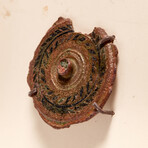 Published Romano-British Enameled Brooch // 1st Century AD