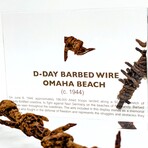 D-Day Barbed Wire Artifact Display