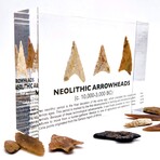 Neolithic Arrowheads Artifact Display