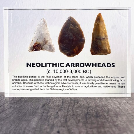 Neolithic Arrowheads Artifact Display