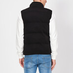 Puffer Vest // Black (L)