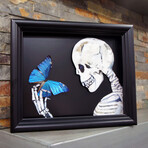 Blue Morpho Skeleton Shadow Box