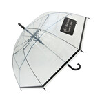 Sun Comes After Rain