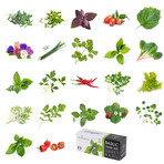 Best Selling Herb Lingots® // Set of 4