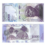 Venezuela Currency Collection // 13 Notes Set // 2 through 20,000 Denomination Notes // Uncirculated