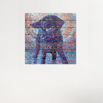 Canines & Color by Iris Scott (26"H x 26"W x 1.5"D)