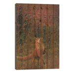 Fox Fire by Iris Scott (26"H x 18"W x 1.5"D)