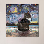 Tuxedo Cat Night II by Aja Trier (26"H x 26"W x 1.5"D)