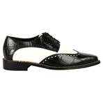 Boyka Oxford // Black + White (US: 9)