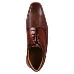 Gary-112 Oxford // Brown (US: 10)