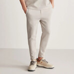 Sweatpants Slim Fit Technical Fabric with Zippered Legs // Gray (L)