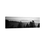Vast Landscape In B&W, Great Smoky Mountains National Park, North Carolina, USA by Panoramic Images (12"H x 36"W x 1.5"D)