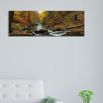 Fall Trees Kitchen Creek PA by Panoramic Images (12"H x 36"W x 1.5"D)