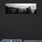 Vast Landscape In B&W, Great Smoky Mountains National Park, North Carolina, USA by Panoramic Images (12"H x 36"W x 1.5"D)