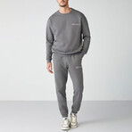 Sweatshirt & Sweatpant Set // Gray (M)