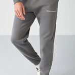 Sweatshirt & Sweatpant Set // Gray (M)