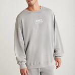 Sweatshirt & Sweatpant Set // Light Gray (XS)