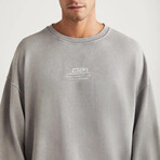 Sweatshirt & Sweatpant Set // Light Gray (S)