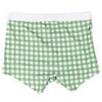 Trunk // Green Gingham (XL)