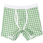 Boxer Brief // Green Gingham (S)
