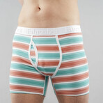 Boxer Brief // Stripe Bundle (L)