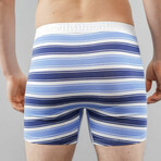 Boxer Brief // Stripe Bundle (L)