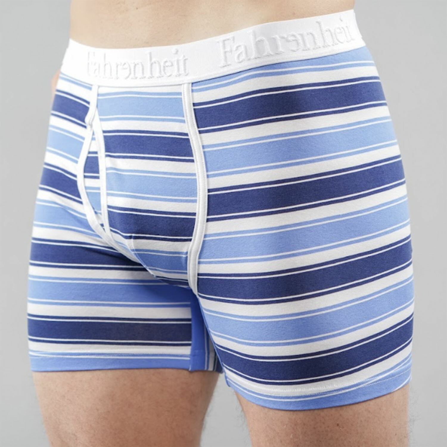 Boxer Brief // Stripe Bundle (M) - Fahrenheit Men's Bodywear - Touch of ...