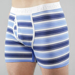 Boxer Brief // Stripe Bundle (XL)